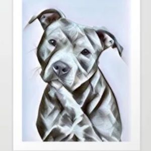 Meet your Posher, Danny